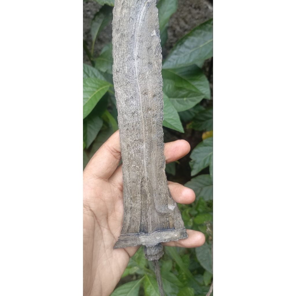 bethok jalak kabudhan