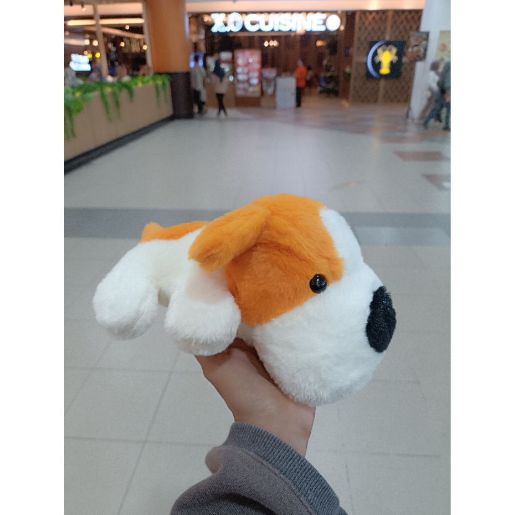 Boneka Capit Funifun Anjing Oren putih Anjing Rebahan imut lucu oh some