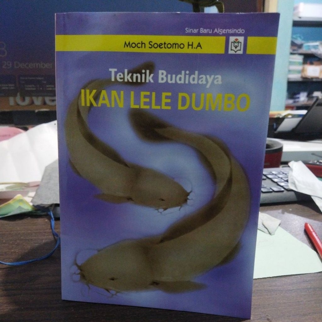 Teknik Budidaya ikan Lele Dumbo