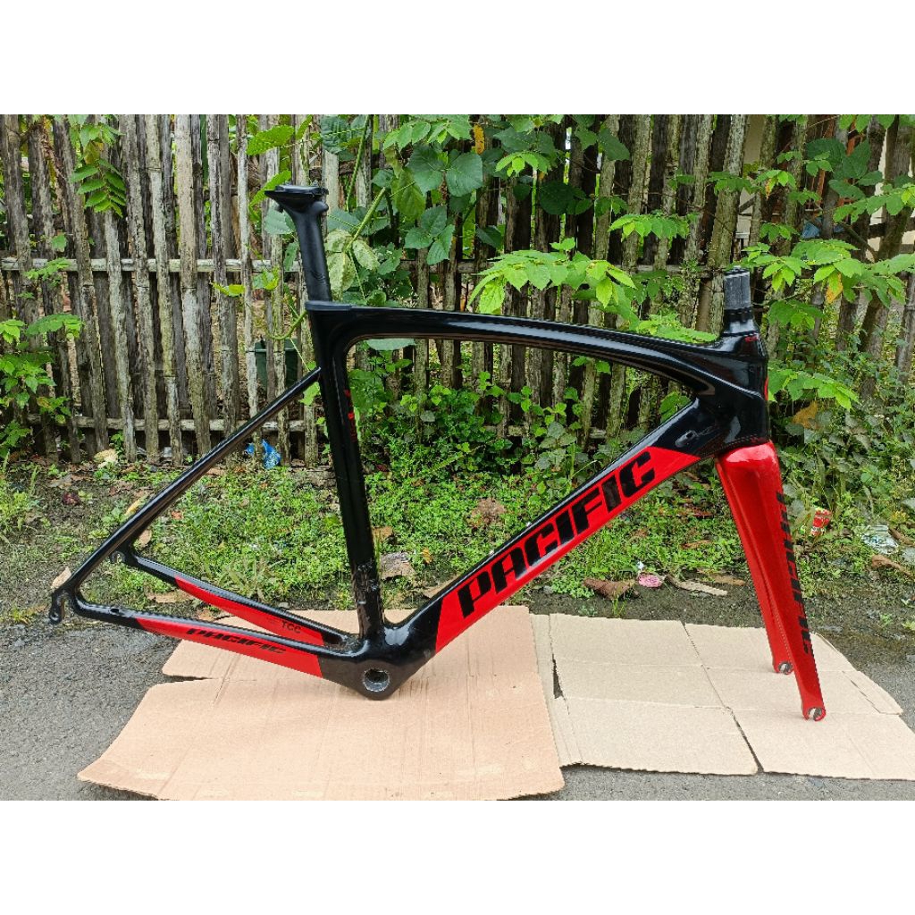 Frame Roadbike Carbon Pacific Primum