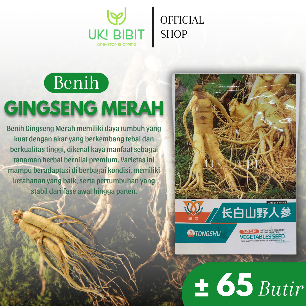 Kemasan Original | Benih Biji Ginseng Merah | Red Ginseng | Panax Ginseng