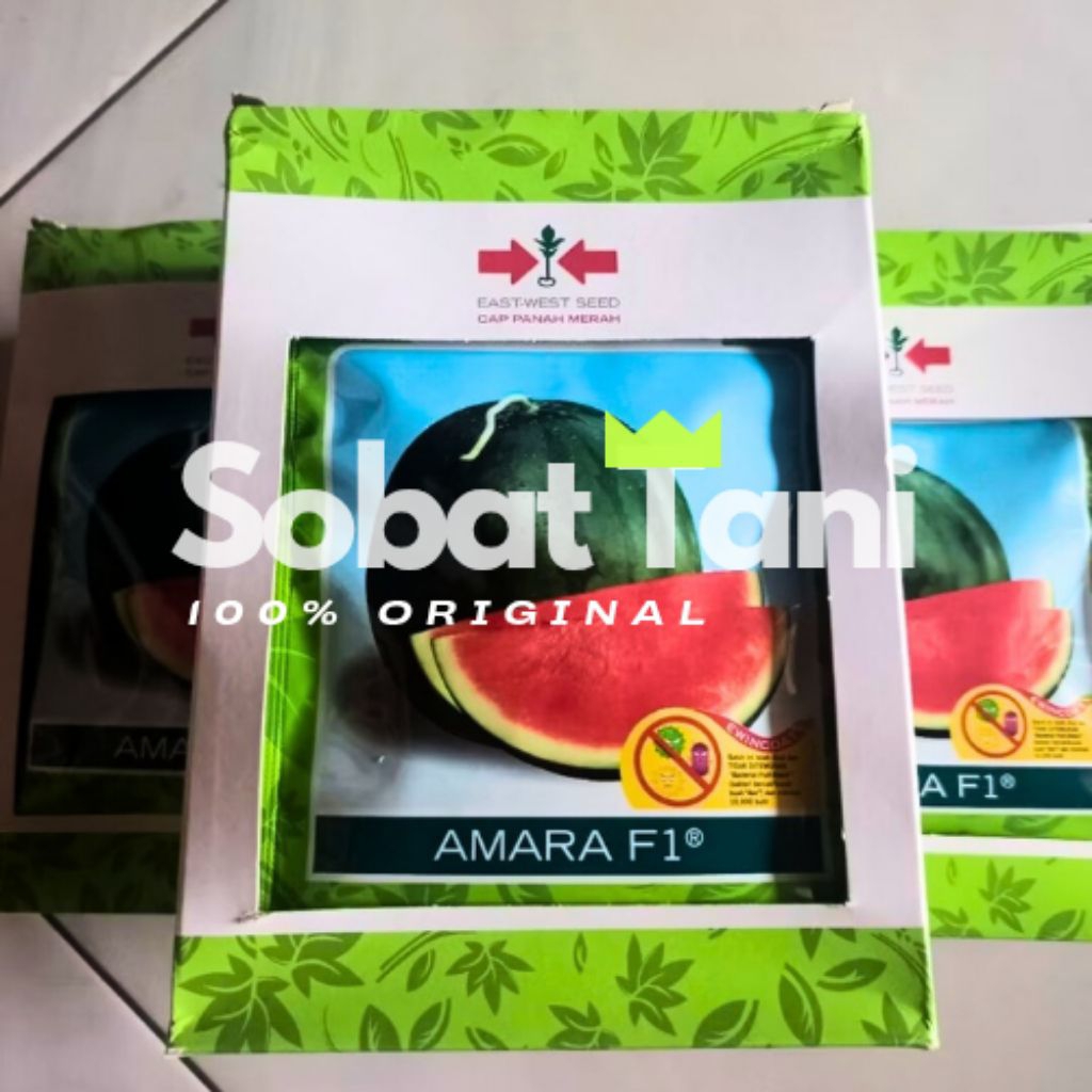 Benih Bibit Semangka Non-Biji AMARA F1 isi 360 biji