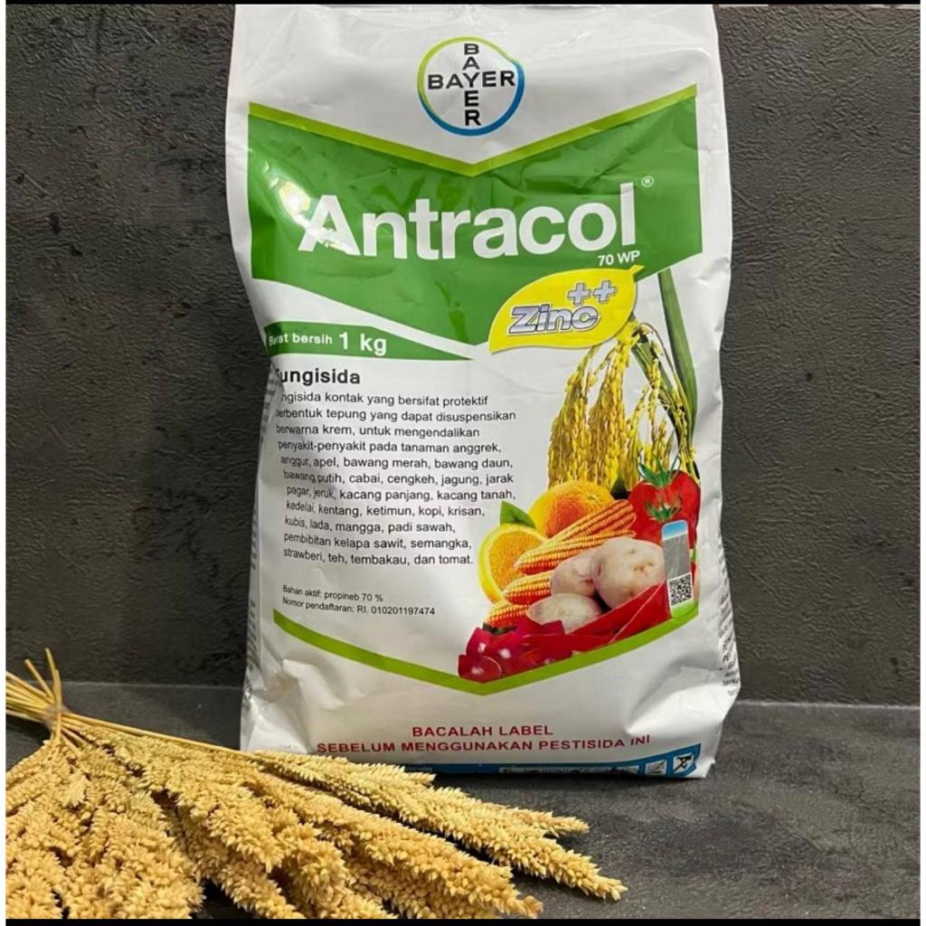 Antracol 70 WP Fungisida 1Kg Original