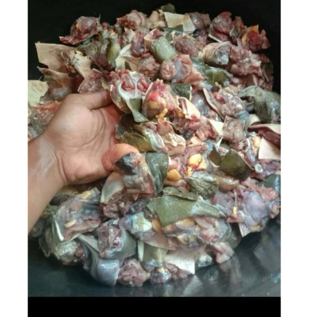 DAGING BULUS LABI-LABI FROZEN 1 KG