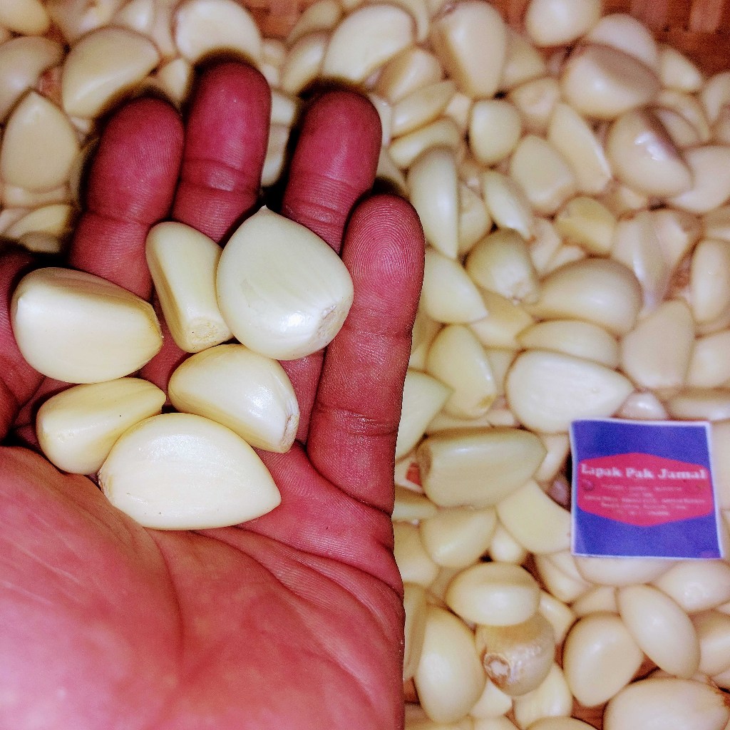 Bawang PUTIH KATING KUPASAN - 1 Kg