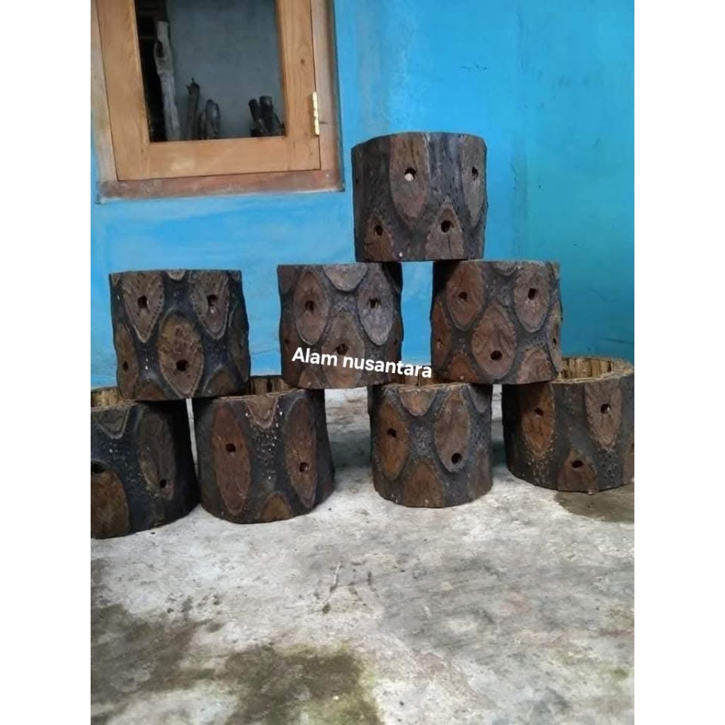 Terbaru pot batang pakis