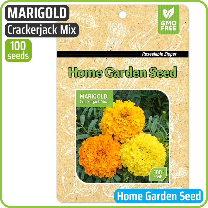 Benih HGS, Bunga Marigold - Marigold Crackerjack Mix