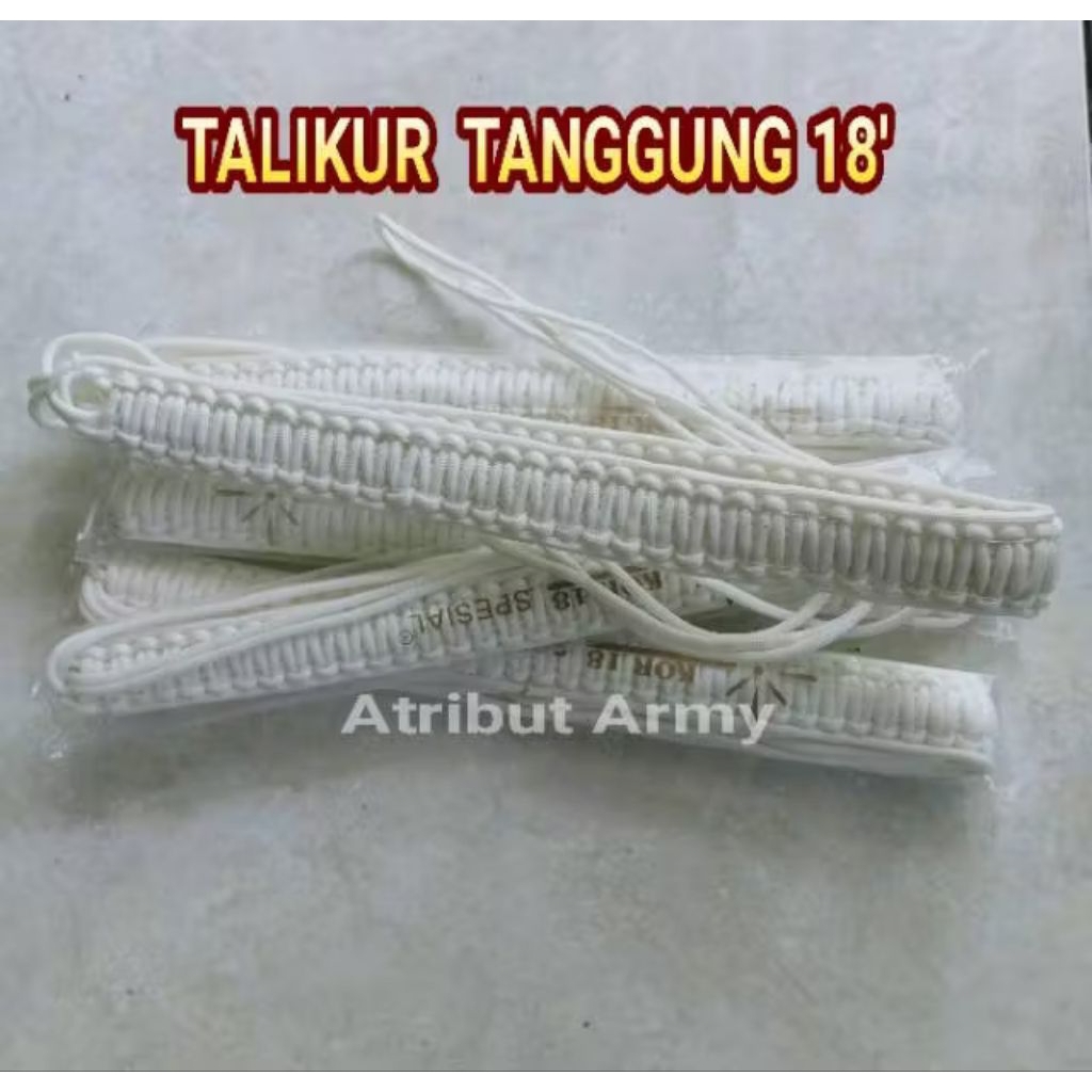 perlengkapan provost tni