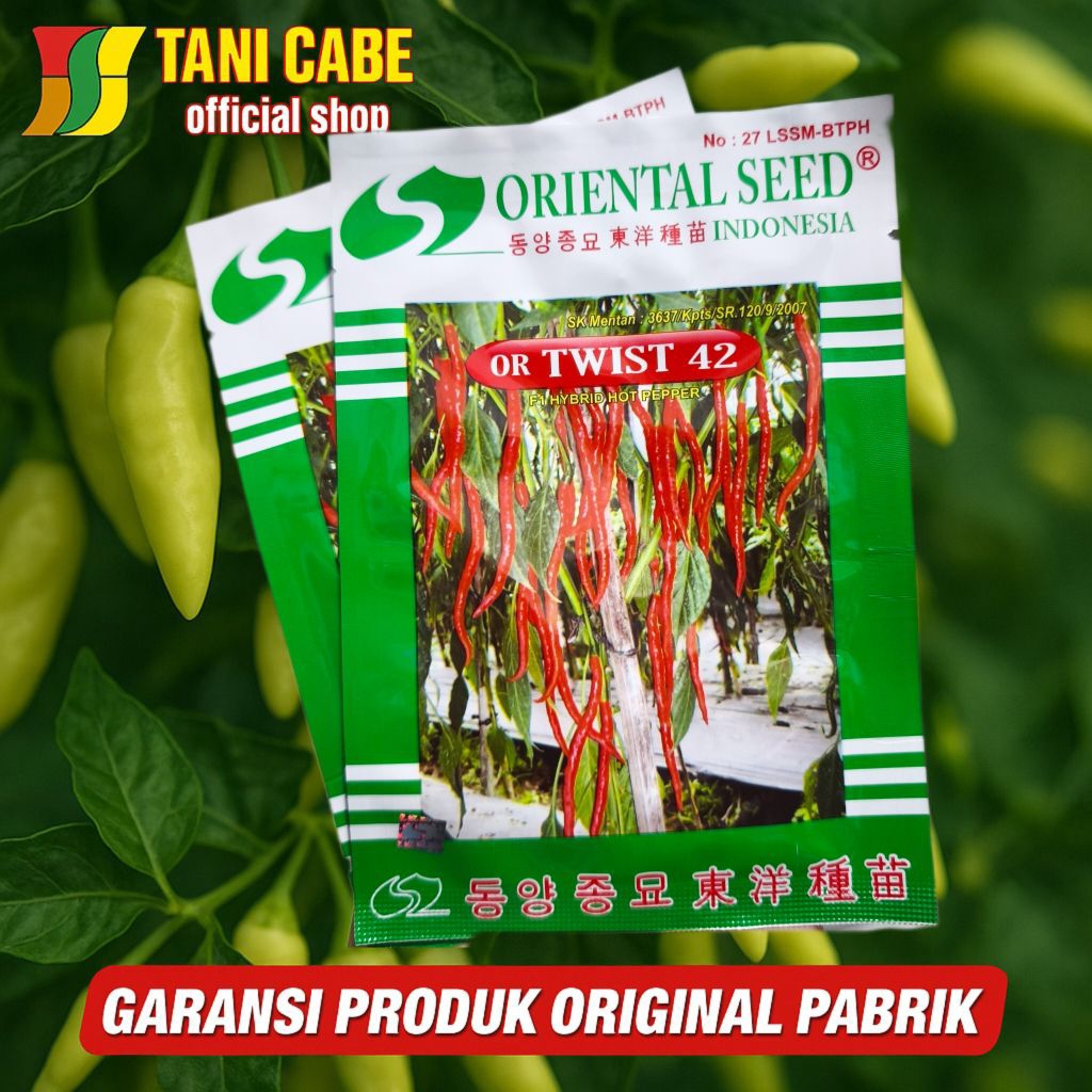 OR TWIST 42 Benih cabai keriting Or 42 original 10 grm