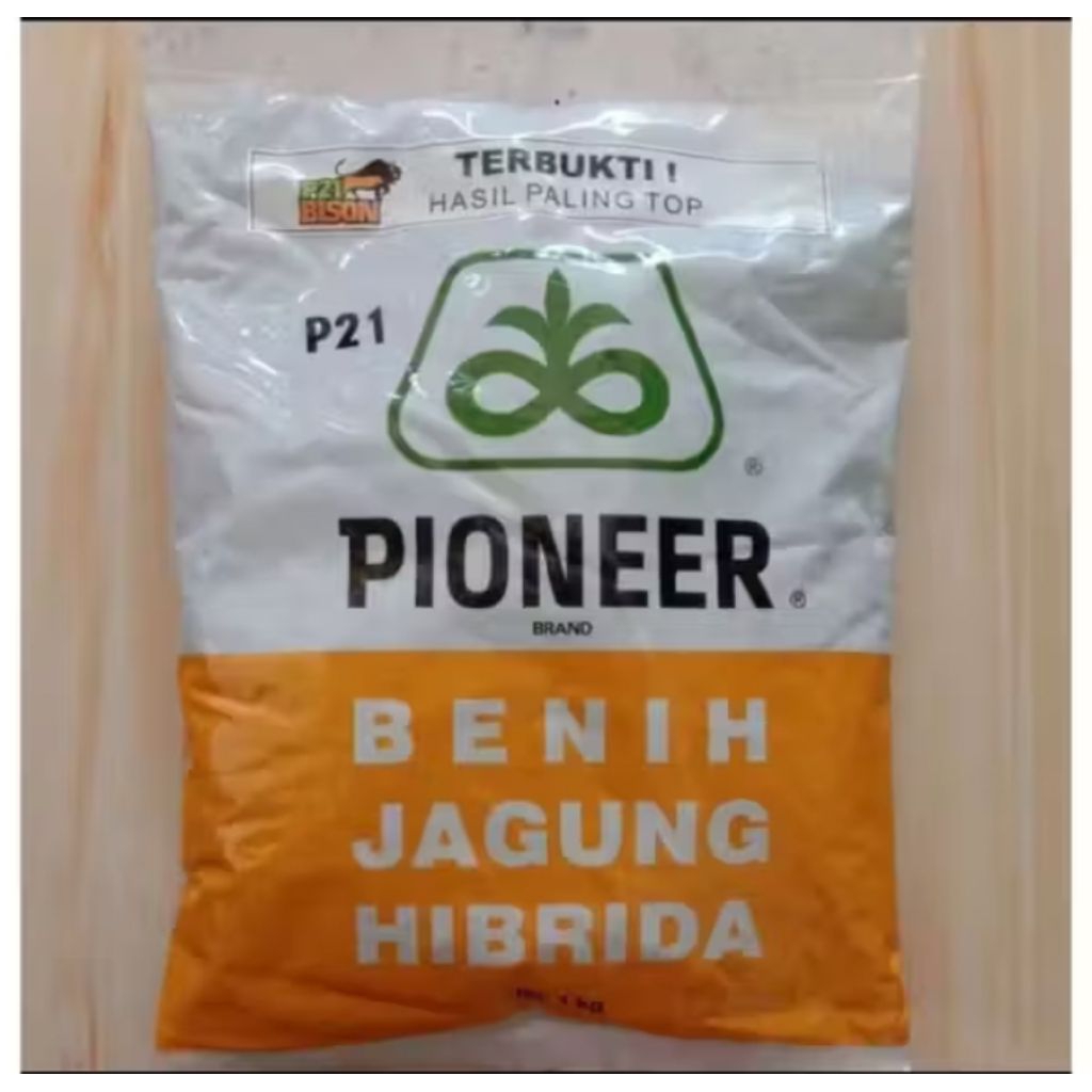 BENIH JAGUNG HIBRIDA PIONEER P21 KEMASAN 1KG ORIGINAL