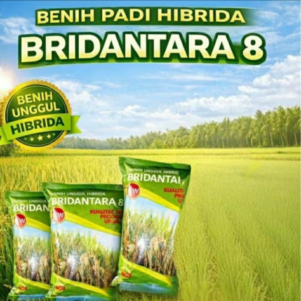 BENIH PADI HIBRIDA  BRIDANTARA 8 SUPER 1KG