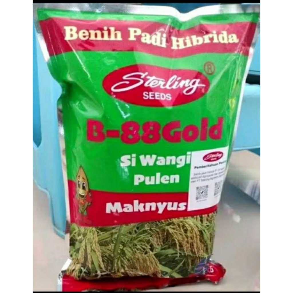 BENIH PADI STERLING 1 KG