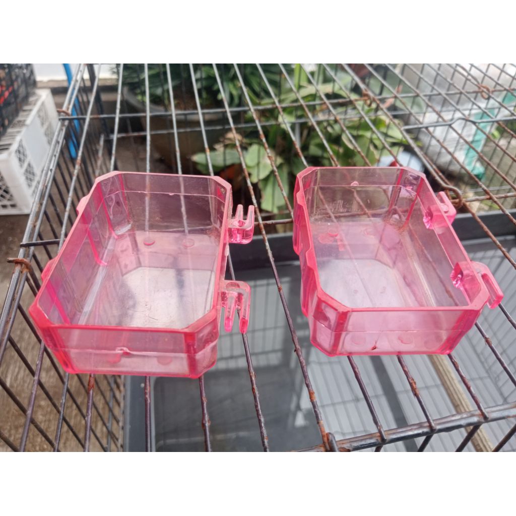 cepuk mandi burung sogon & konin