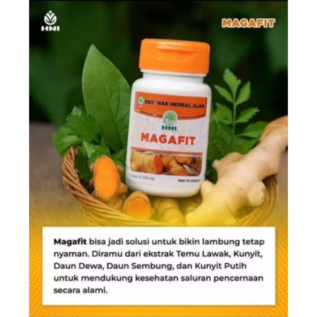 MAGAFIT HNI OBAT HERBAL UNTUK MASALAH LENCERNAAN