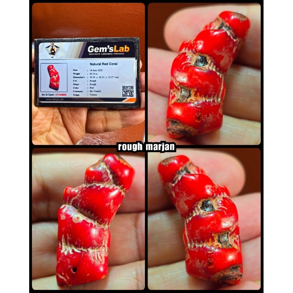 natural batu marjan merah auper kuno asli alami ROUGH YA