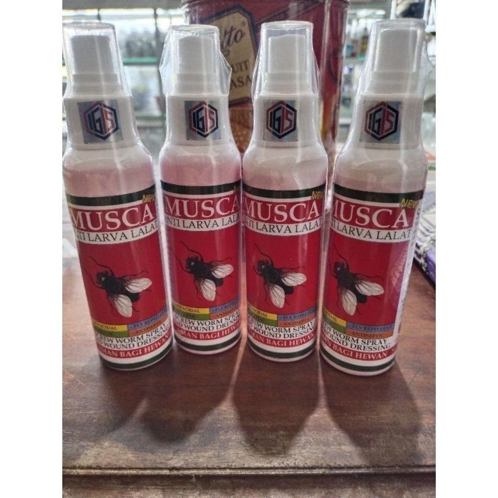 MUSCA anti larva lalat