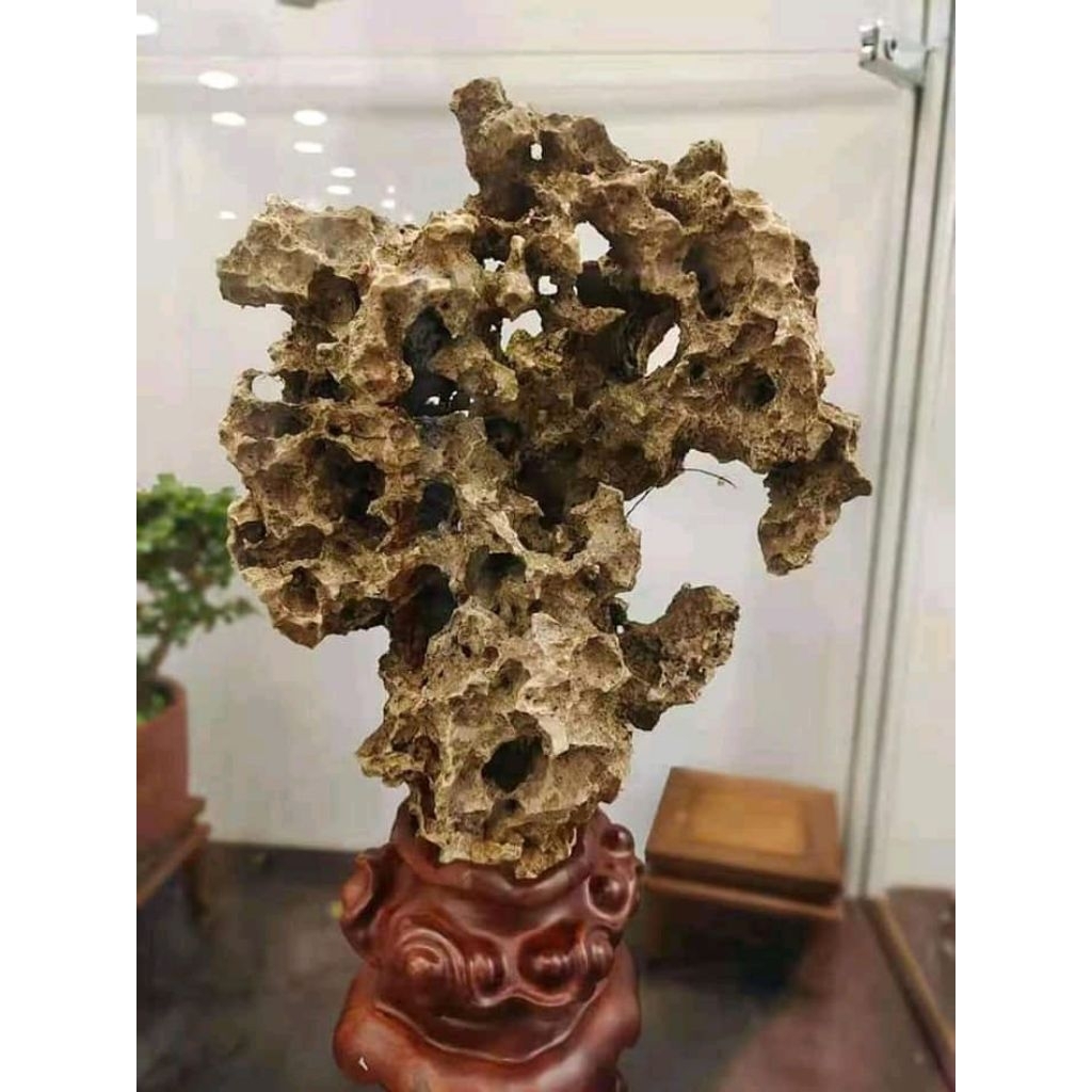 Batu karang gunung berlubang banyak untuk bonsai/aquarium