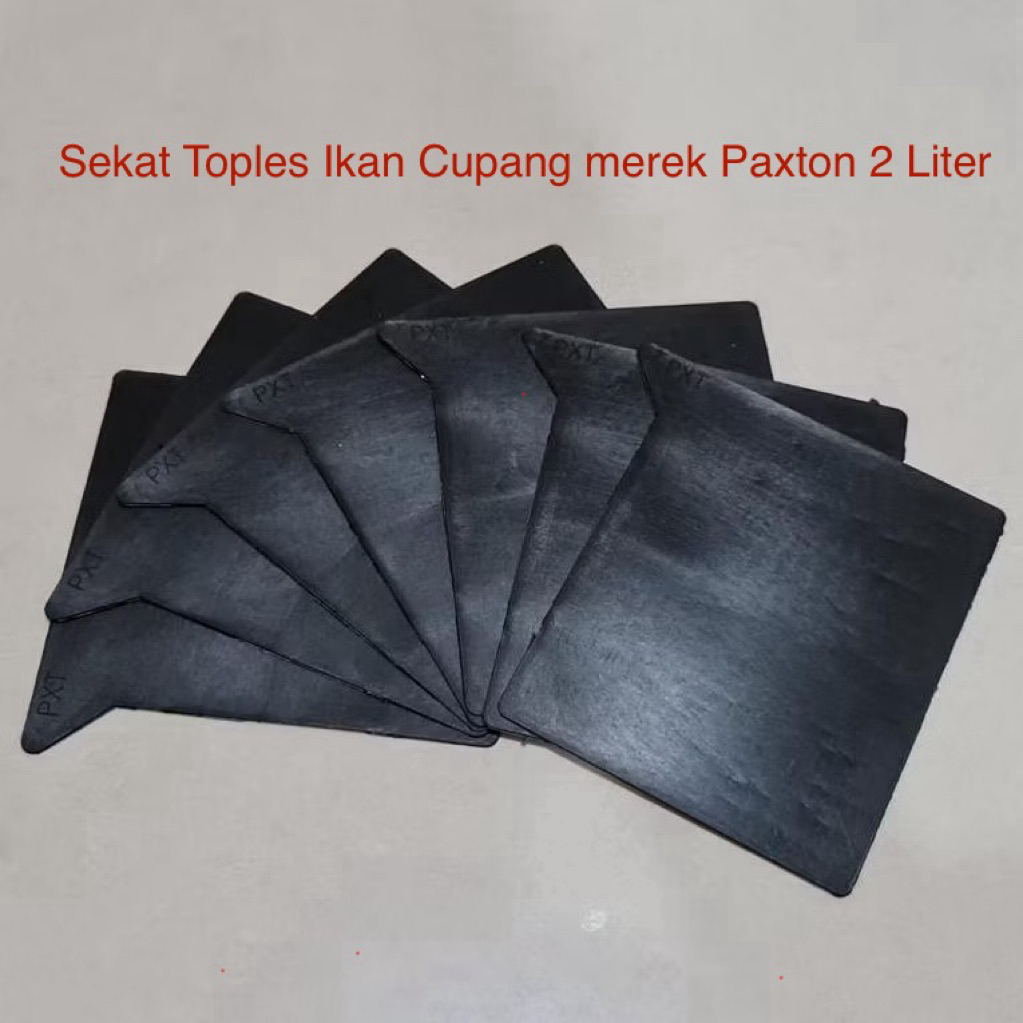 Sekat Toples Ikan Cupang Paxton 2L Pembatas Akrilik Cupang 2 Liter Paxton