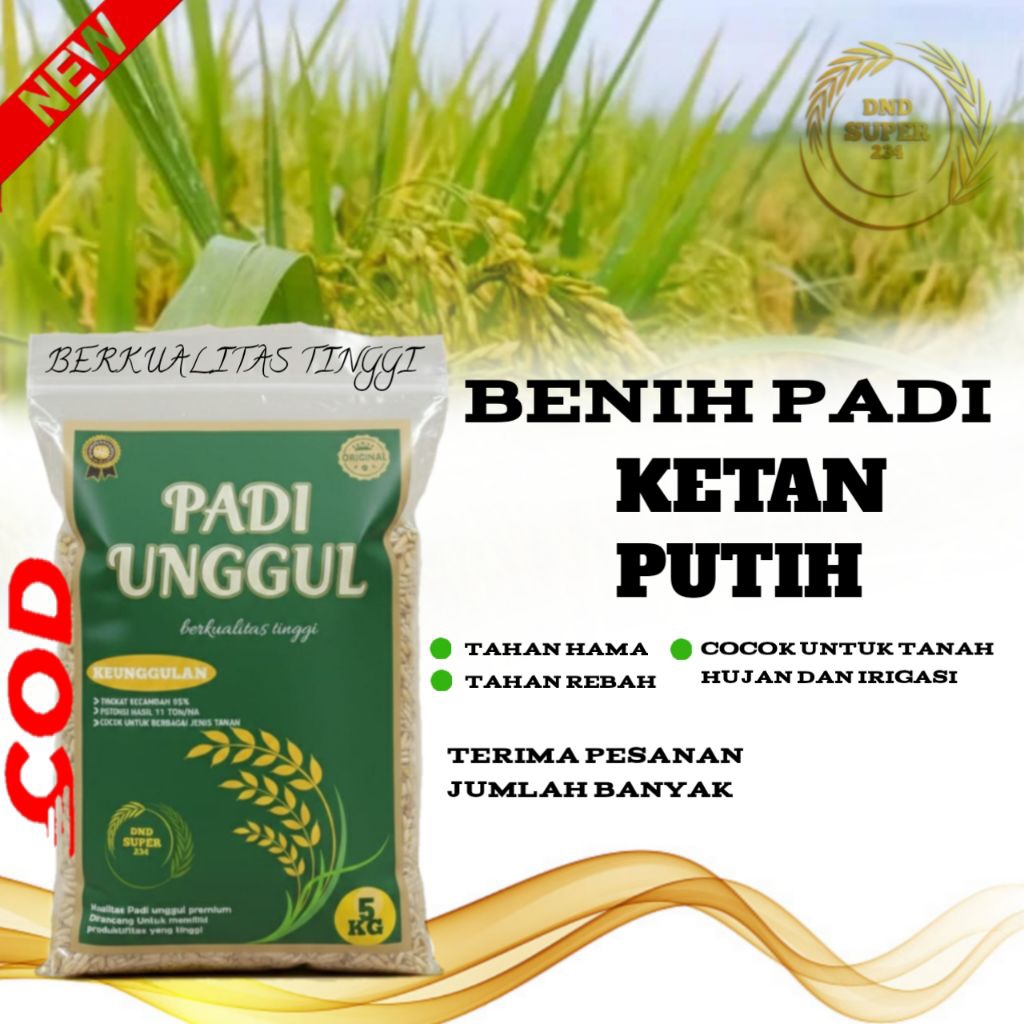 BENIH PADI KETAN PUTIH 5KG BIBIT PADI KETAN PUTIH SUPER PREMIUM