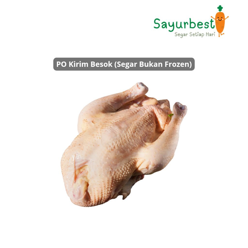 (PO KIRIM BESOK) Ayam Kampung Potong Segar 1 Ekor