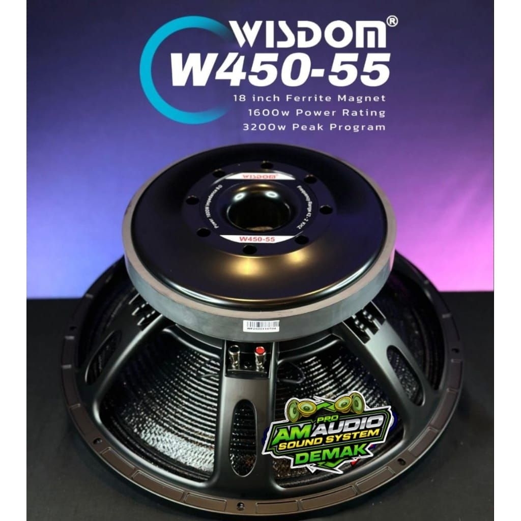 Speaker 18inch Wisdom W450-55