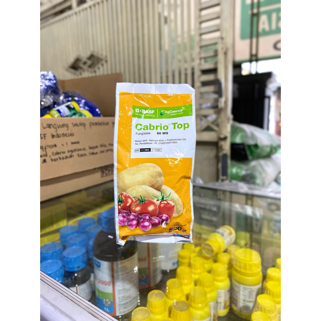 Fungisida Sistemik Cabrio Top 6WG 500gram