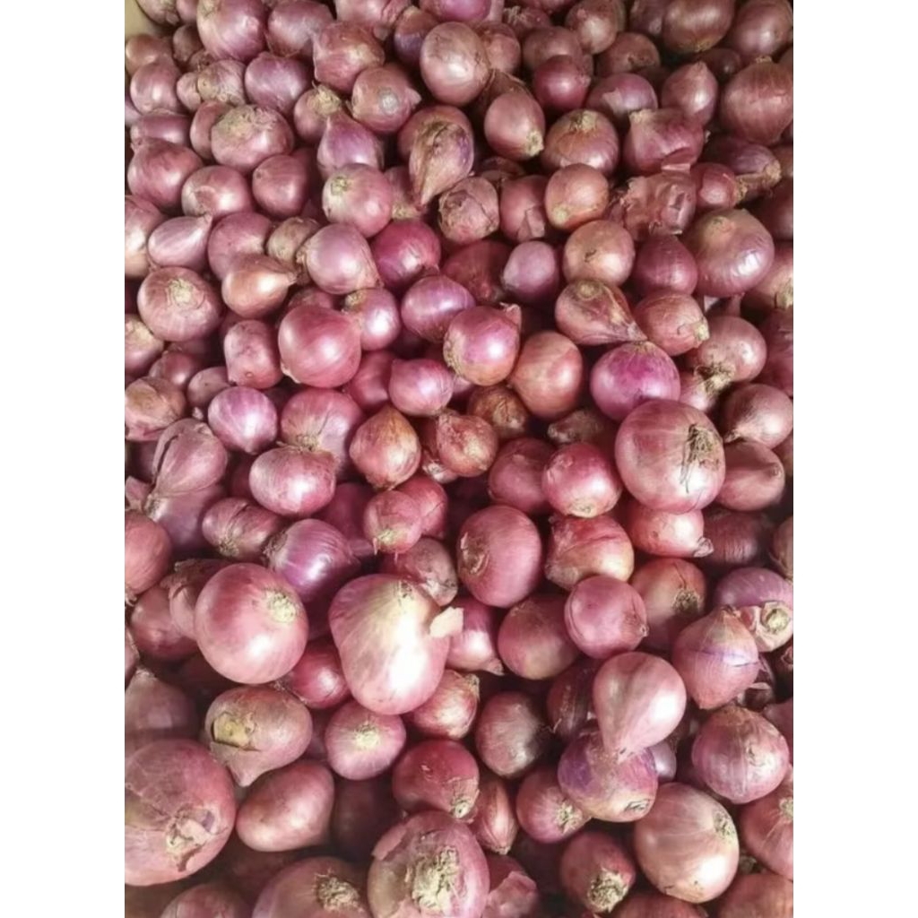 Bawang Merah 1Kg
