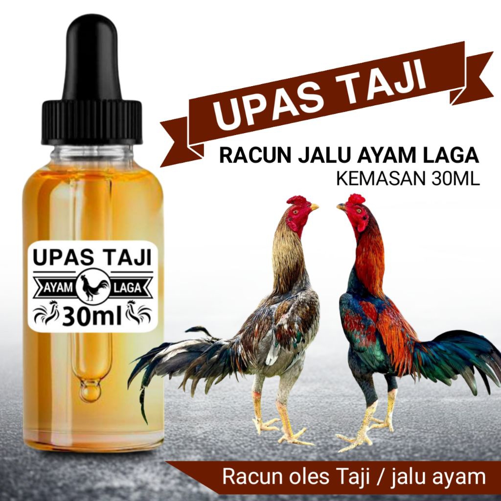 Upas Taji racun ayam Bangkok