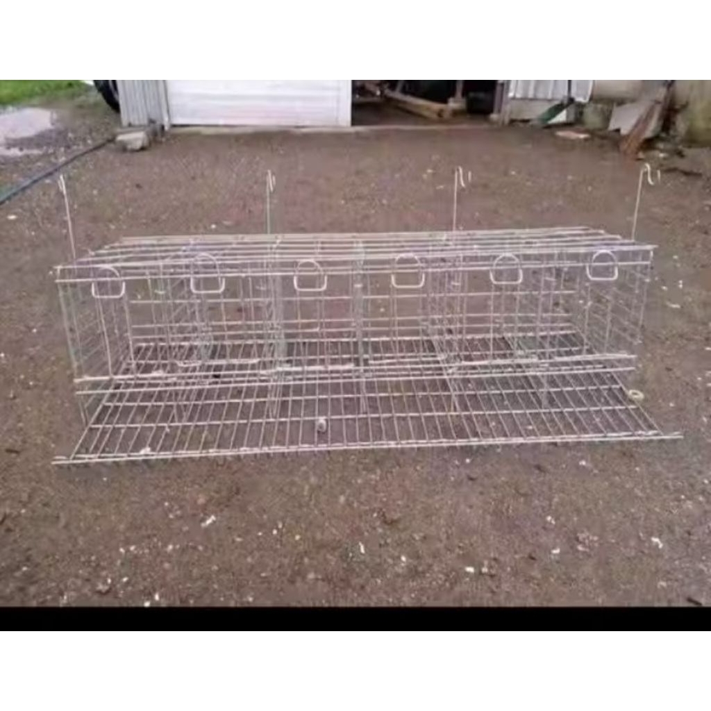 kandang ayam petelur galvanis pintu 6 murah min order 10 set
