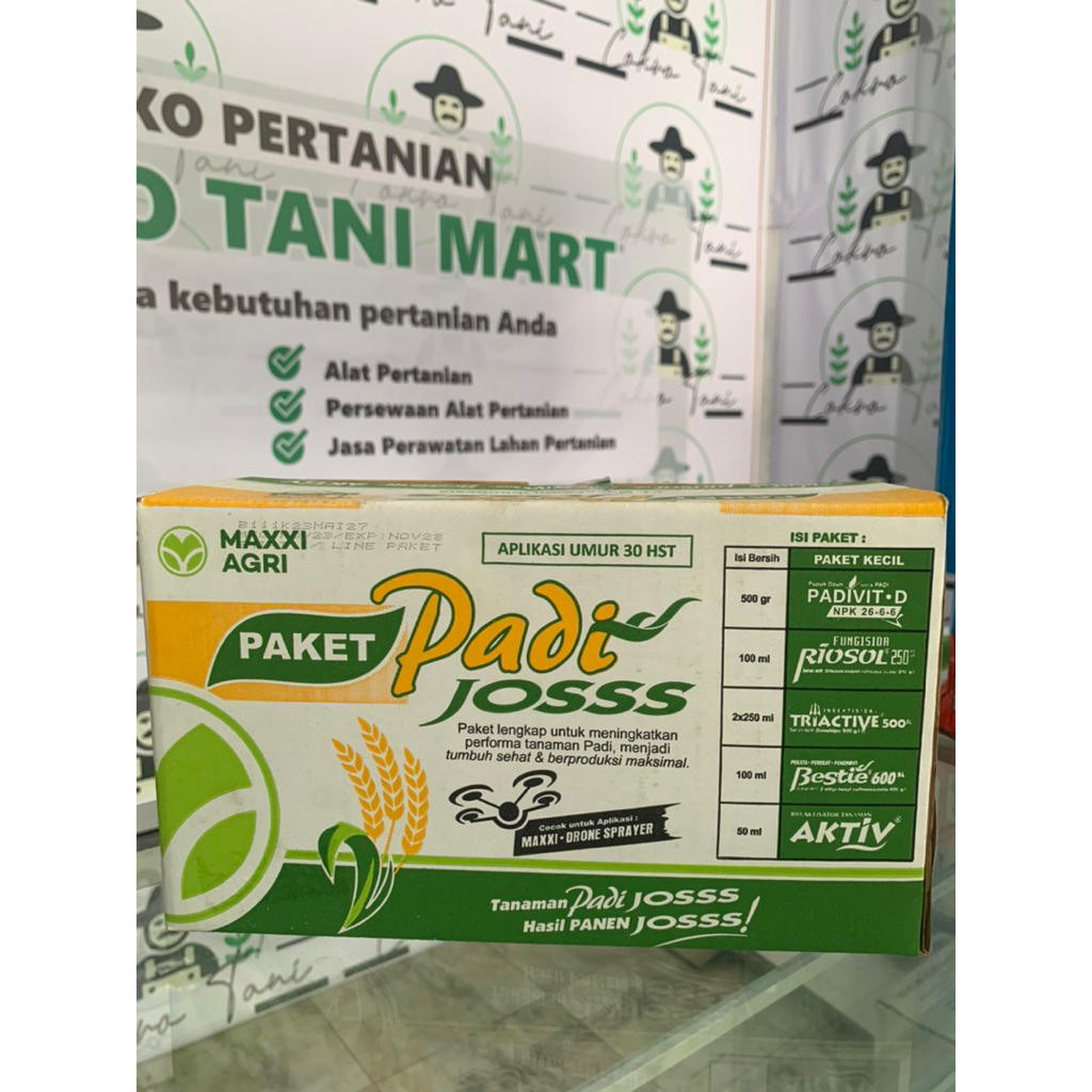 Padi Joss Maxxi Agri Hijau