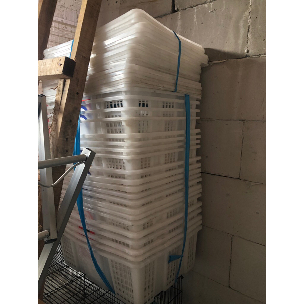 KERANJANG BUAH BEKAS LENGKENG MURAH + TUTUP