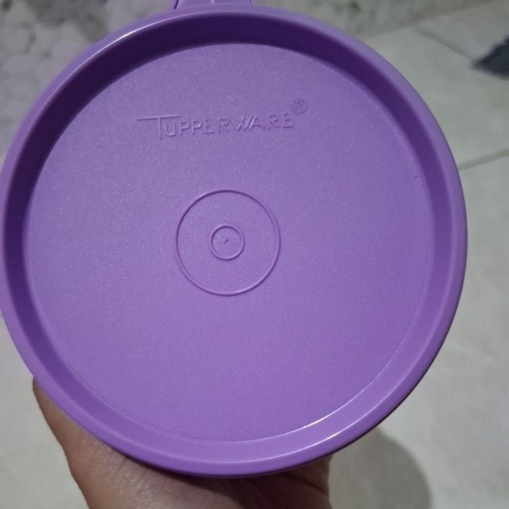 Rice bowl tupperware