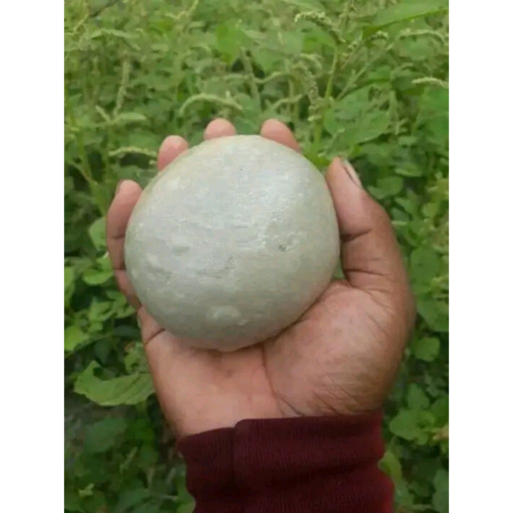Getah bendo asli pulut burung anti zonk 125gr