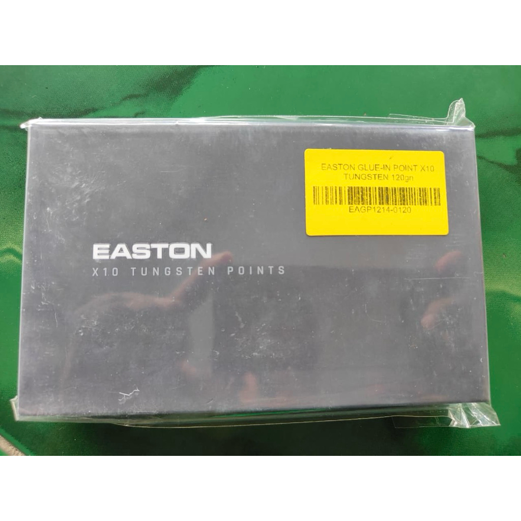 EASTON POINT TUNGSTEN X10/3.2MM 120 GRAINS 12/PK