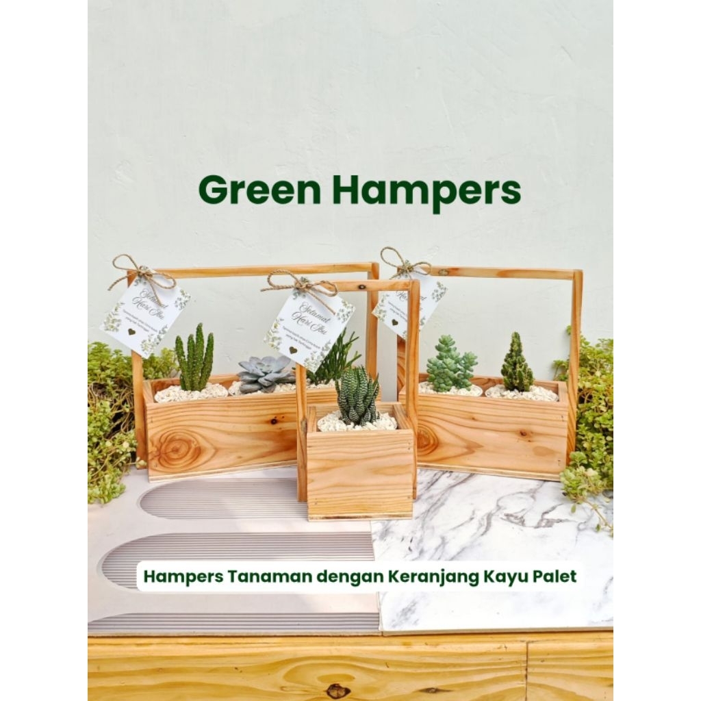 HAMPERS Tanaman Indoor Plant dengan Keranjang Kayu Palet Estetik