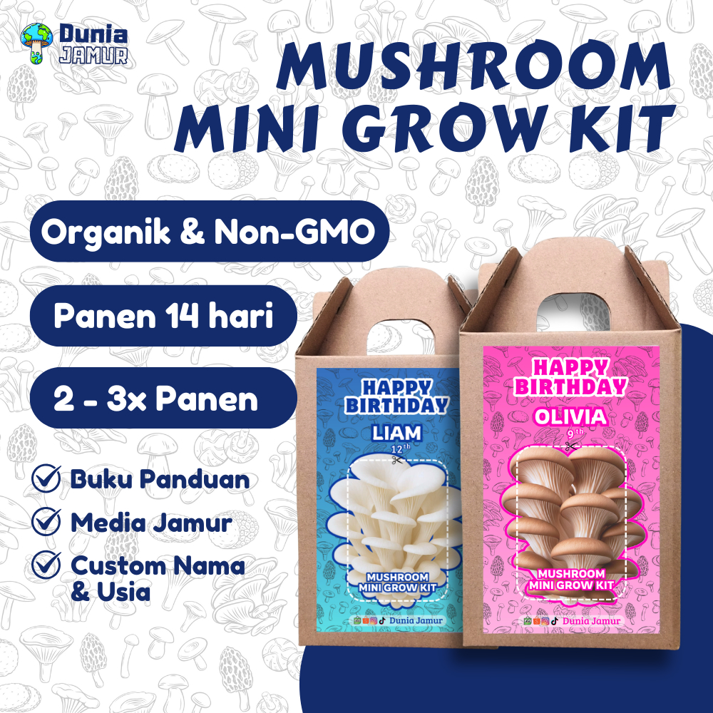Paket Edukasi Budidaya Jamur Tiram Souvenir Kado Hadiah Anak Custom Ulang Tahun Mushroom Grow Kit