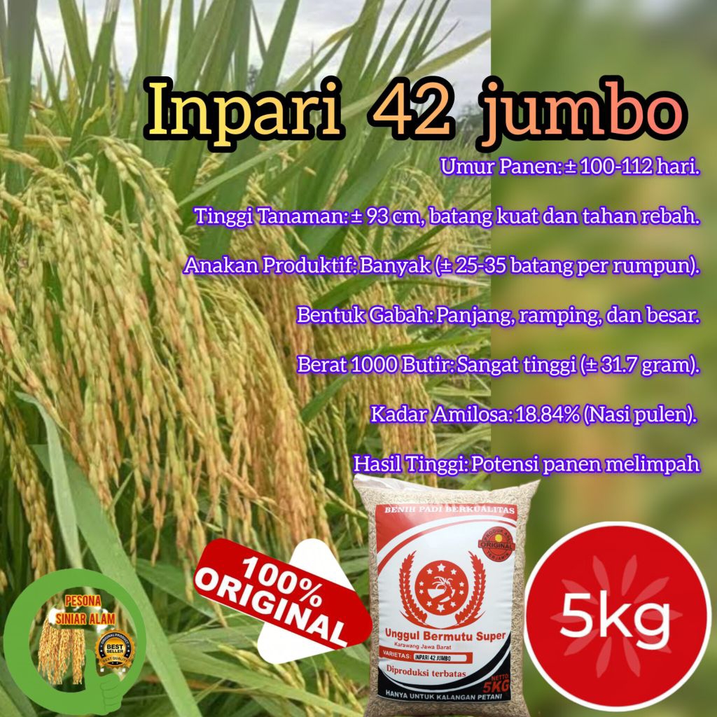 BIBIT PADI INPARI-42 JUMBO 5KG KUALITAS SUPER TAHAN CUACA BURUK