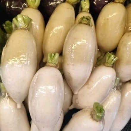 sayuran lobak putih import super fresh lobak white asli korea 1kg