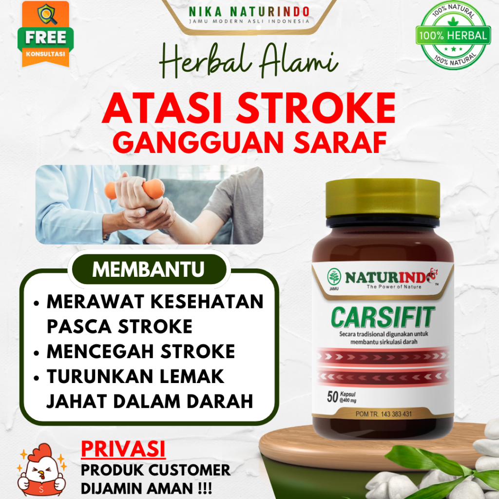 Obat Herbal Stroke Terapi Penyembuhan Stroke Ringan Berat Saraf Tubuh Mati Rasa Penyumbatan