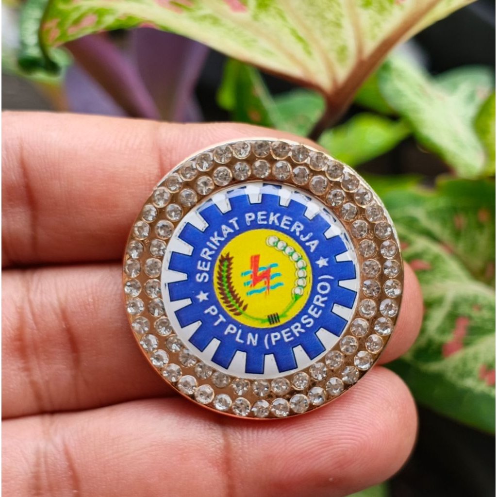 Bros serikat pekerja PT PLN persero