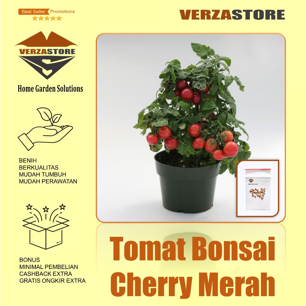 15 Biji - Benih Buah Tomat Cherry Minibell Tomat Cherry Bonsai Sweet Tomatoes