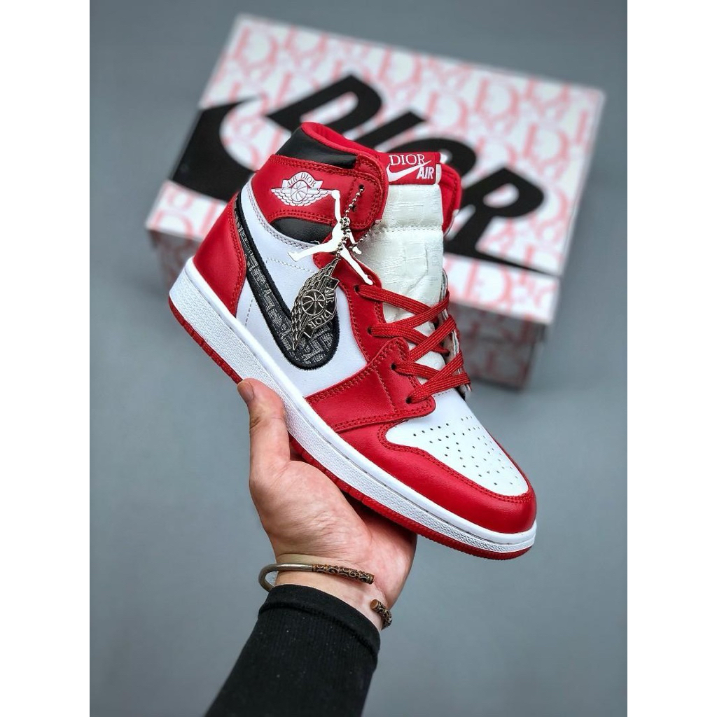 Nike air jordan x dior