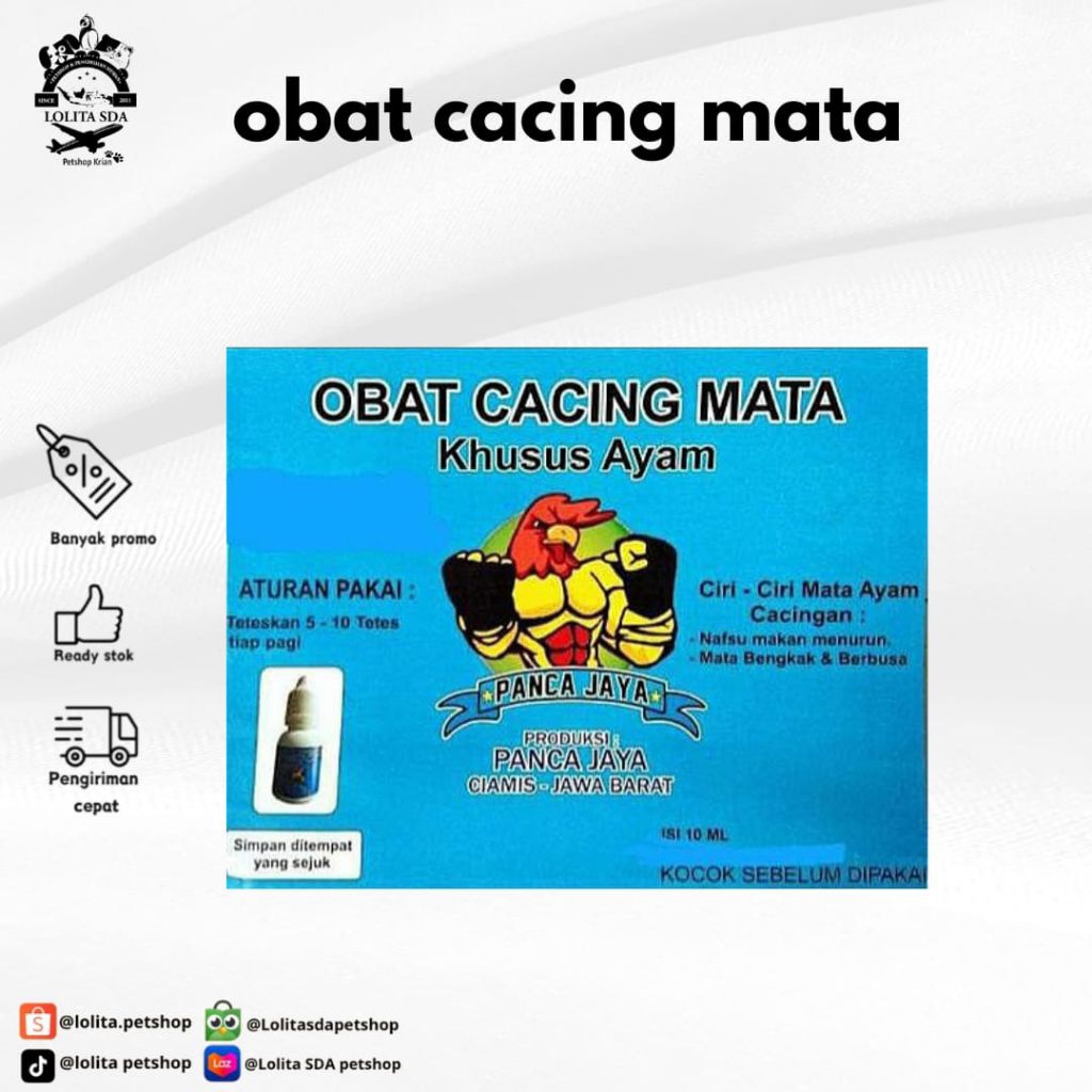 Obat cacing mata khusus ayam