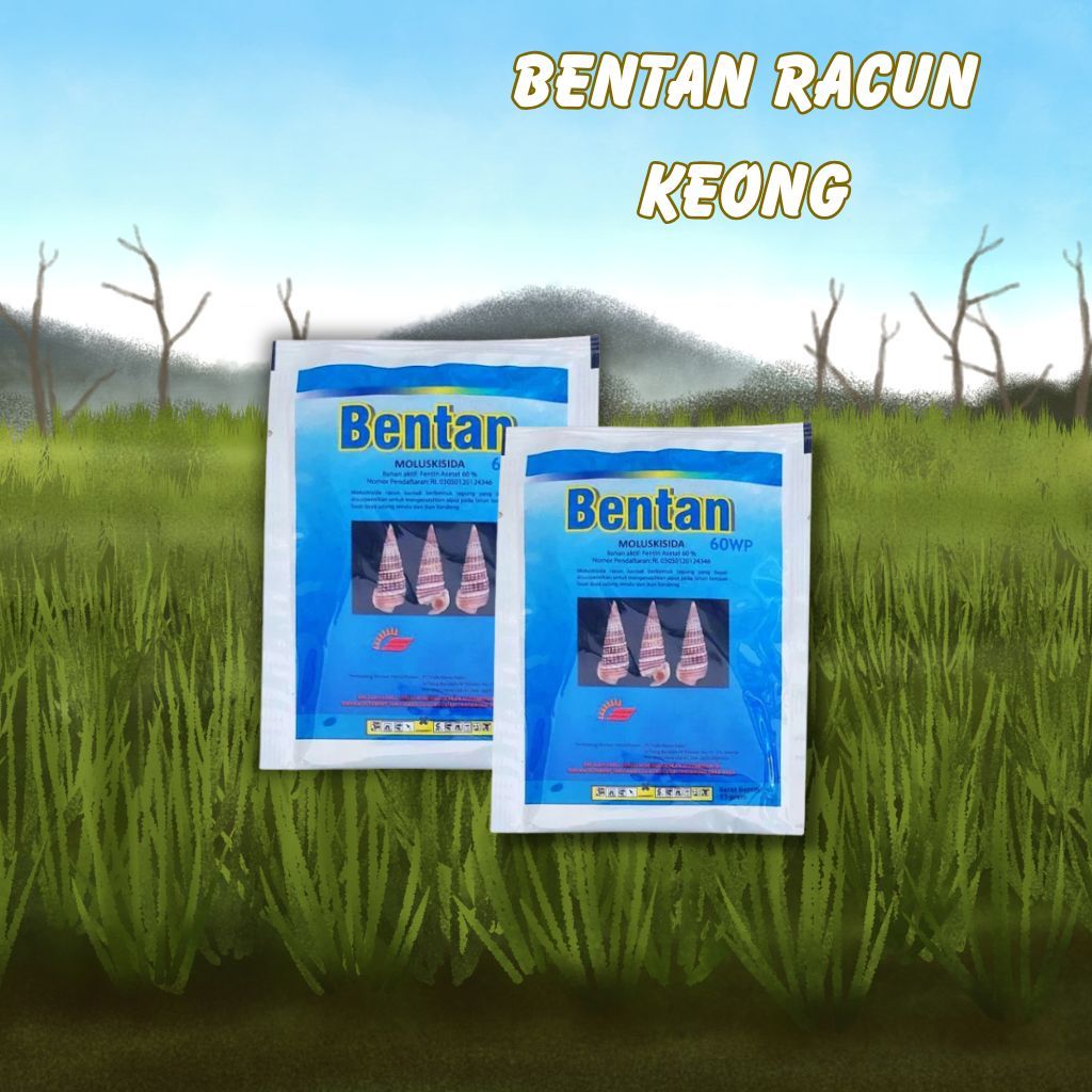 BENTAN 60 WP Moluskisida Racun Keong Siput Tepung 15gr Fentin Asetat Sawah Tambak