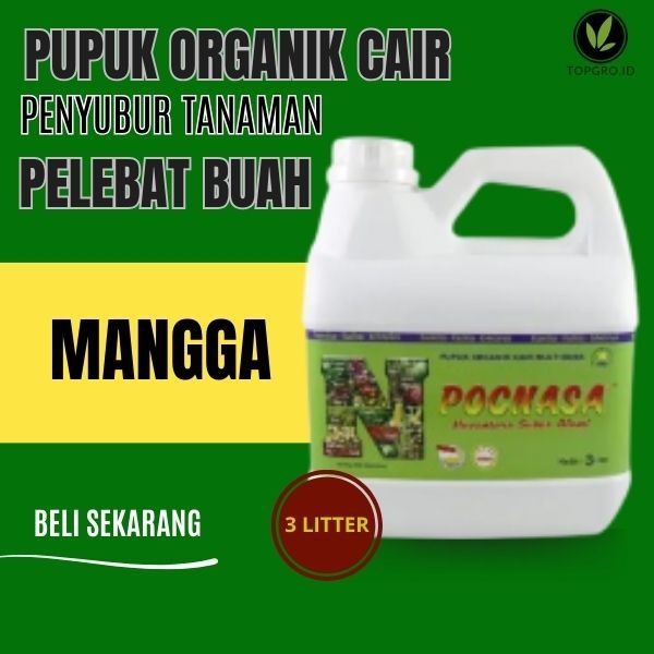Pupuk Organik Cair Buah Mangga / Mangga Muda / Mangga Manis / Mangga Segar /  1 Kg / Cepat Matang