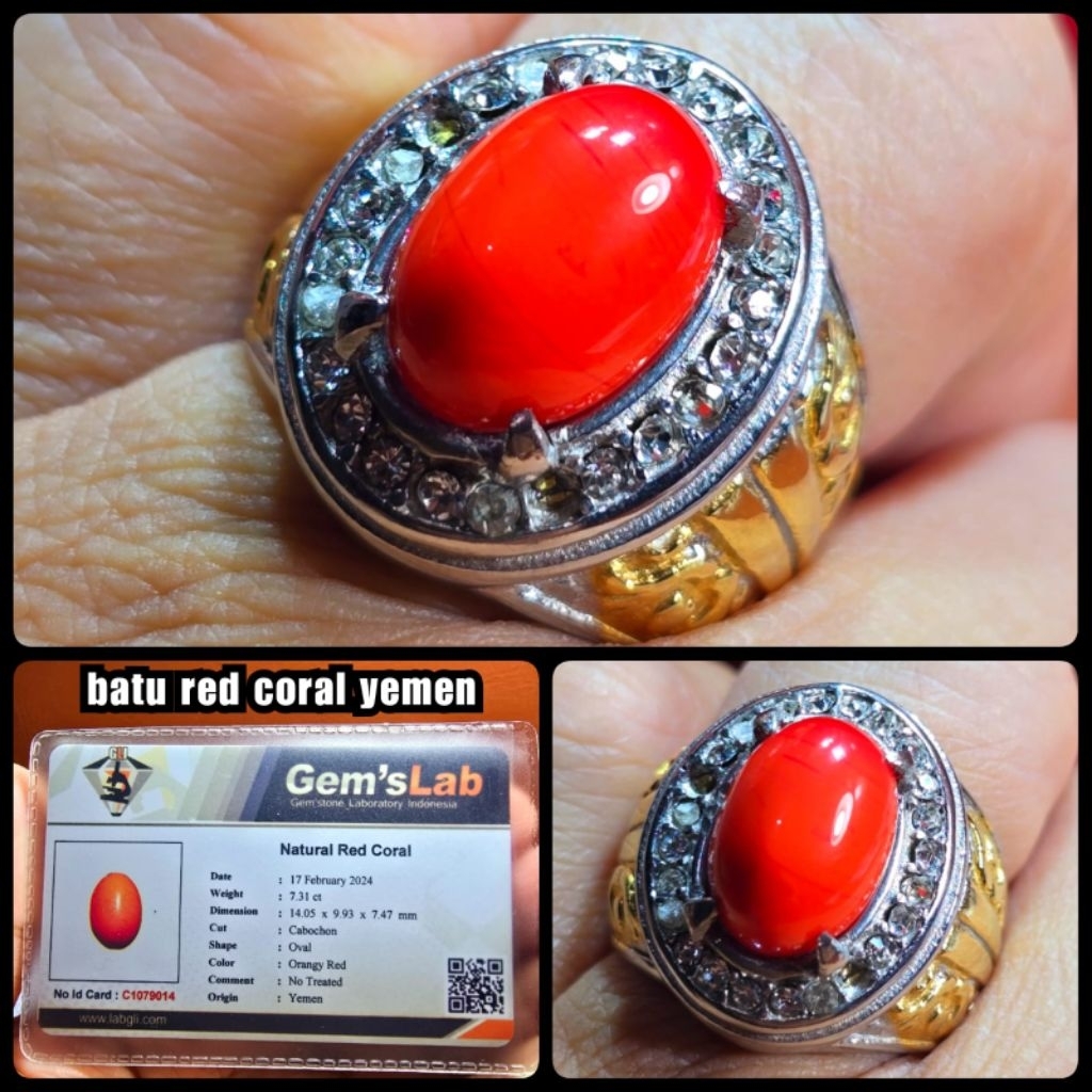 ORI 100% BATU RED CORAL MARJAN LAUT MERAH ASLI