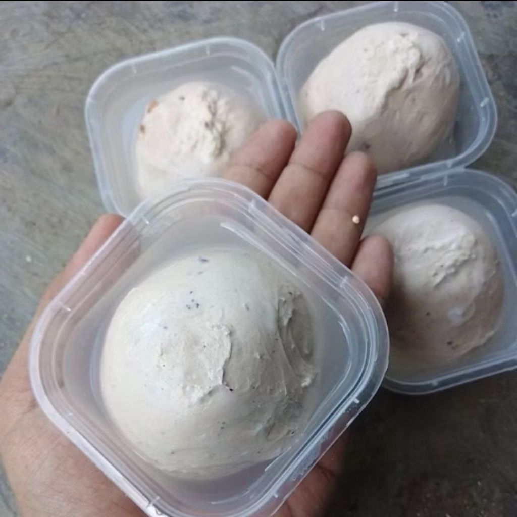 pulut burung super lengket siap pakai