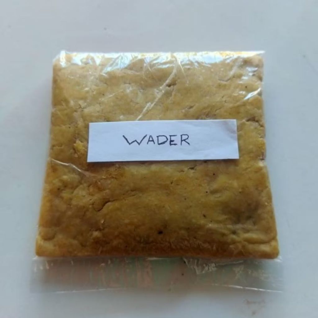 UMPAN IKAN WADER DAN NILEM