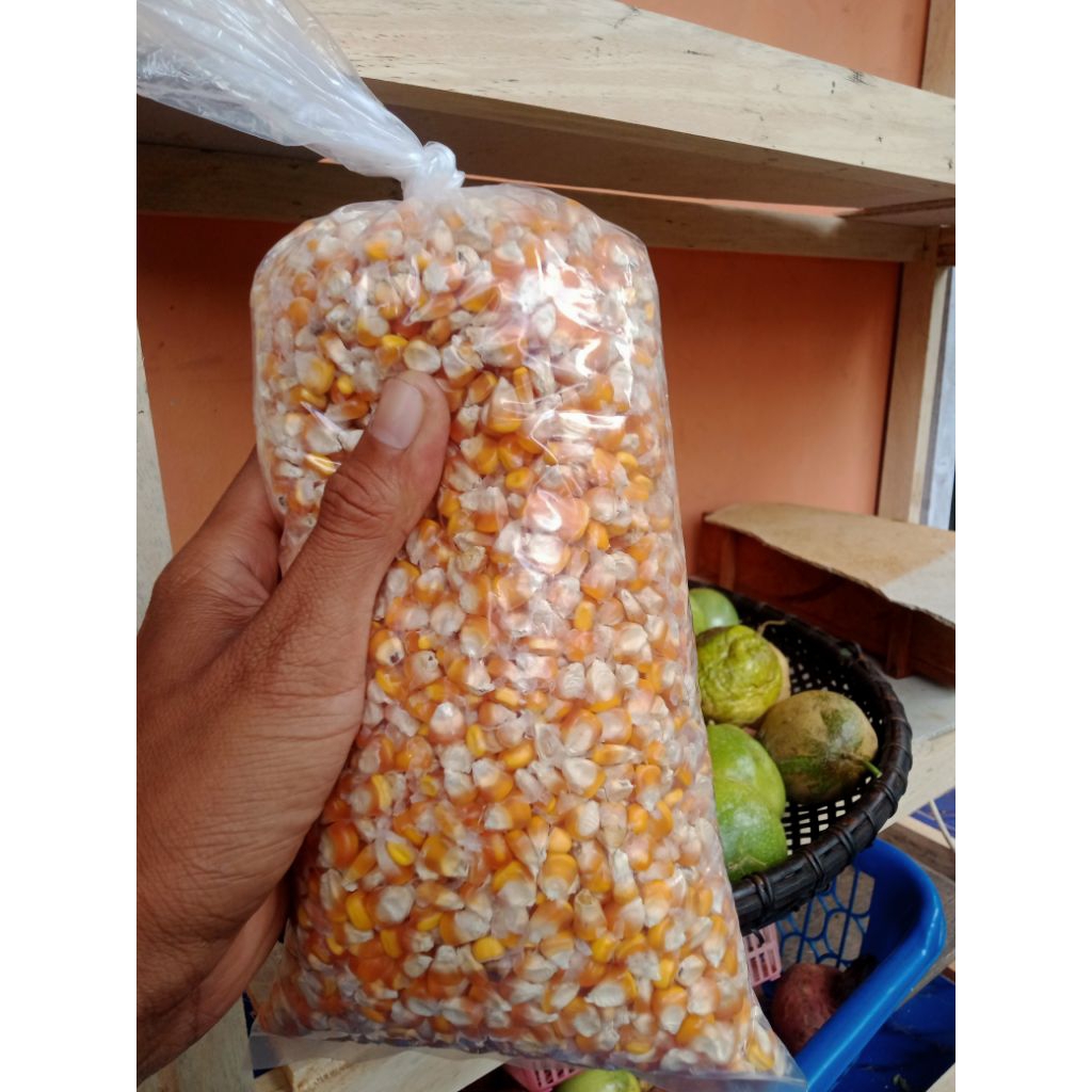 bibit jagung manis,terlaris/1kg