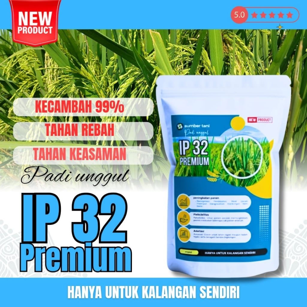 Benih padi unggul Ip 32 original ( Benih padi unggul ip 32 )